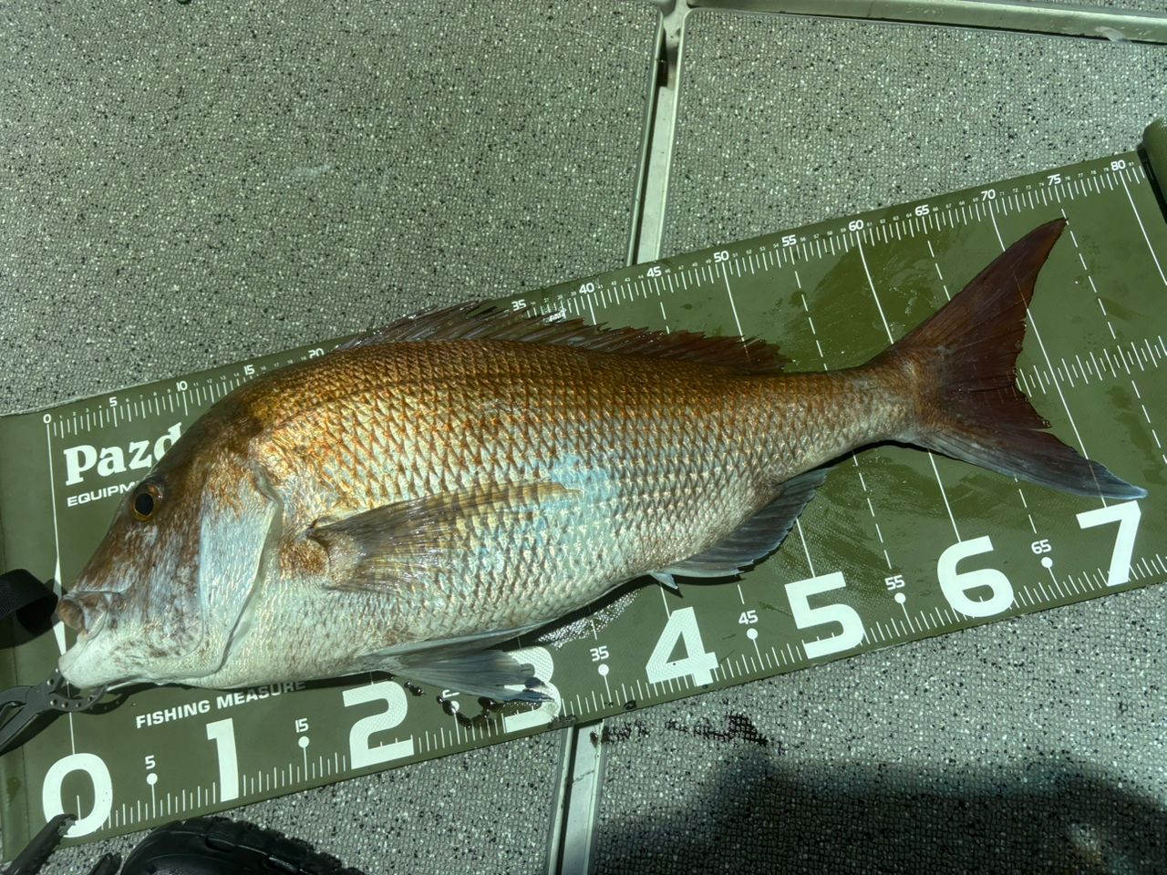 オシアジガーインフィニティモーティブB610-2 SHIMANO 18オシアジガー ∞ (インフィニティ) モーティブ B610-2