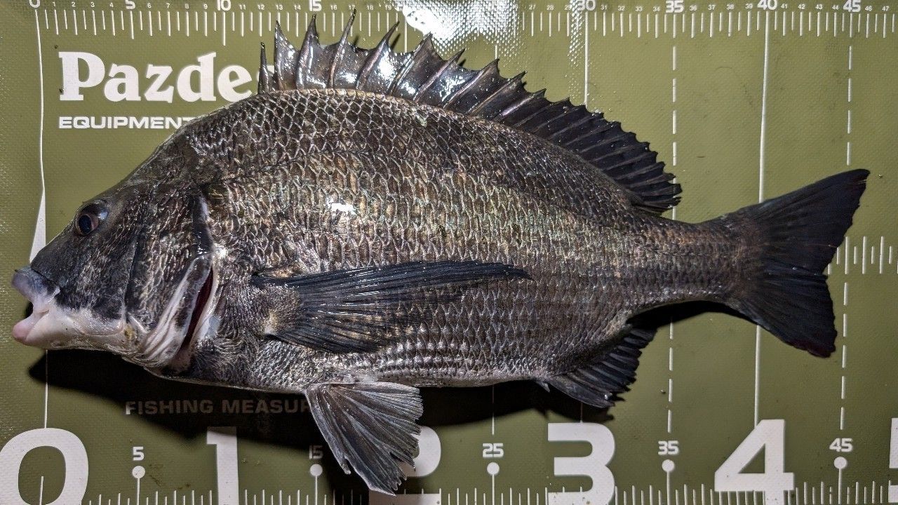 20ルナミス　S100ML SHIMANO 20ルナミス S100MLの最安値・インプレ・釣果 | 本音の口コミが