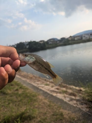 武庫川中流