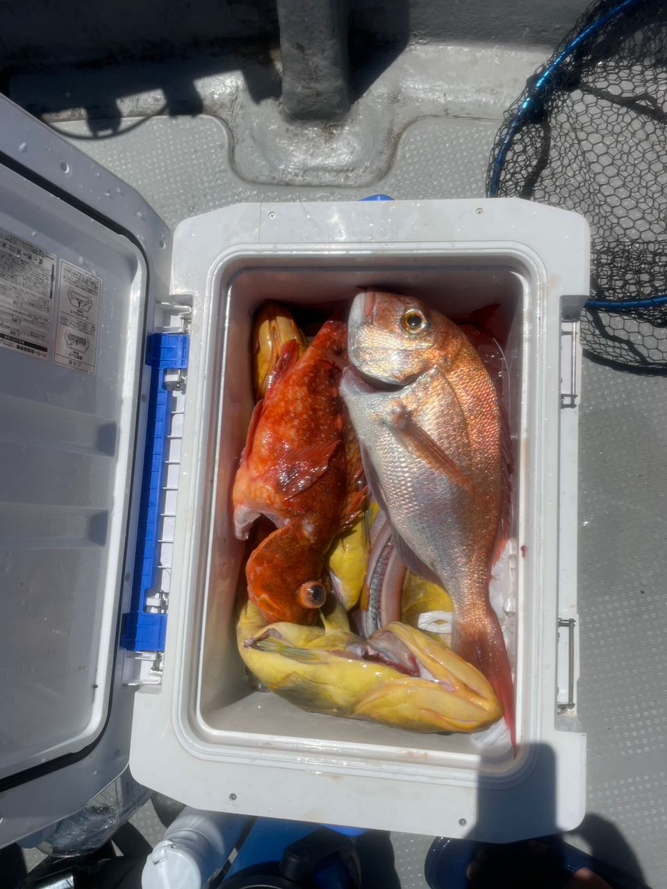 田畑良朗@なつき丸さんの釣果 2枚目の画像