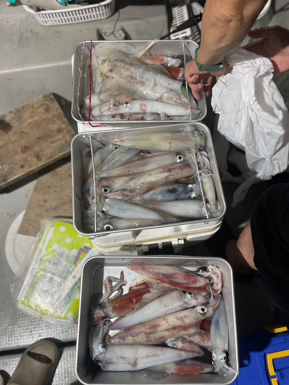 田畑良朗@なつき丸さんの釣果 2枚目の画像