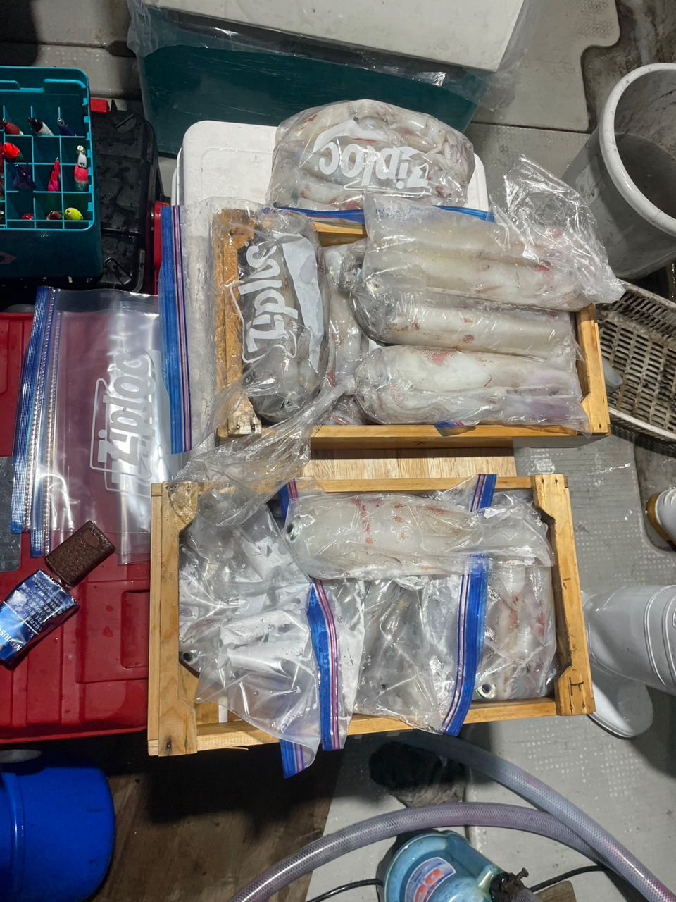 田畑良朗@なつき丸さんの釣果 3枚目の画像