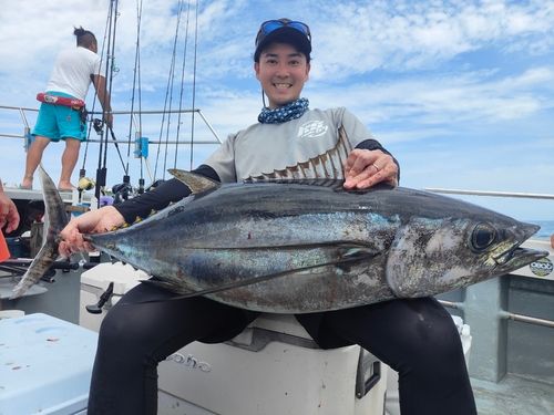 マハタの釣果