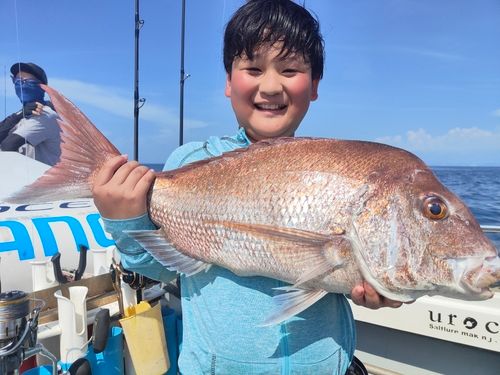マダイの釣果