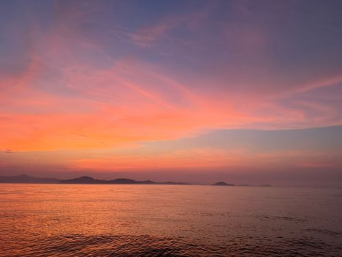 ケンサキイカの釣果