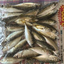 マアジ