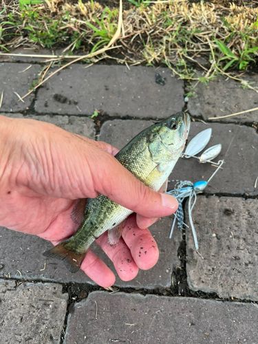 柳が崎湖畔公園