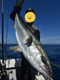 ブリの釣果