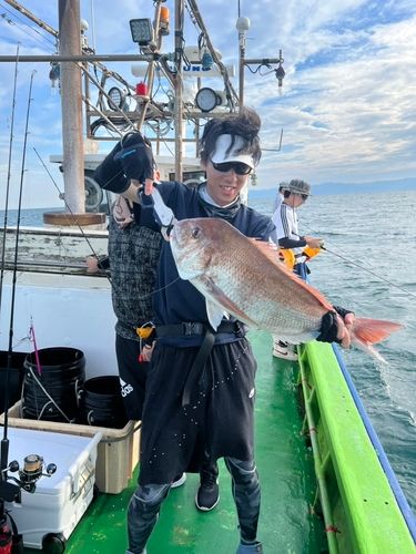 マダイの釣果