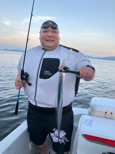 タチウオの釣果