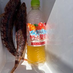 アカエソ