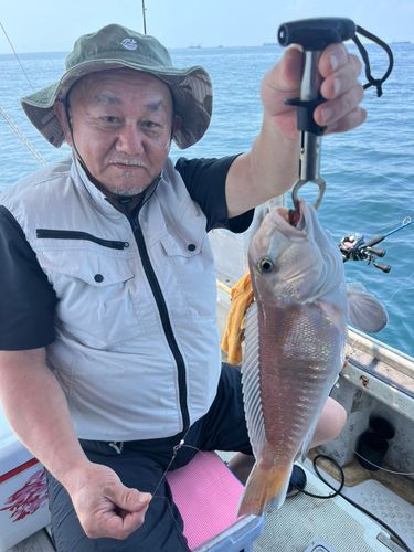 シロアマダイの釣果