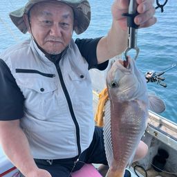 シロアマダイ