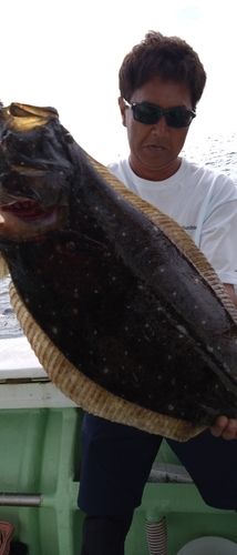 ヒラメの釣果
