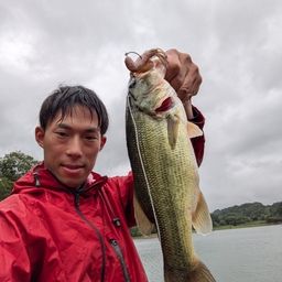 ブラックバス