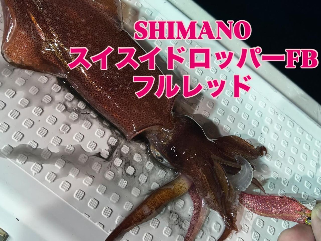 SHIMANO 22セフィア XR ティップエギング S68ML-S/Rの最安値