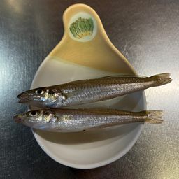 ワカシ
