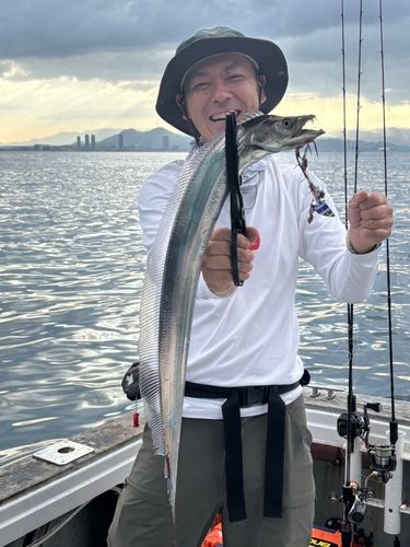 タチウオの釣果