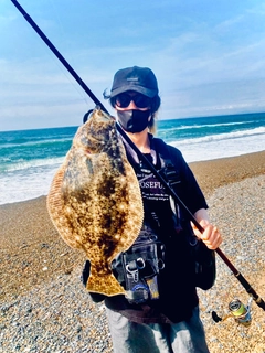 ヒラメの釣果