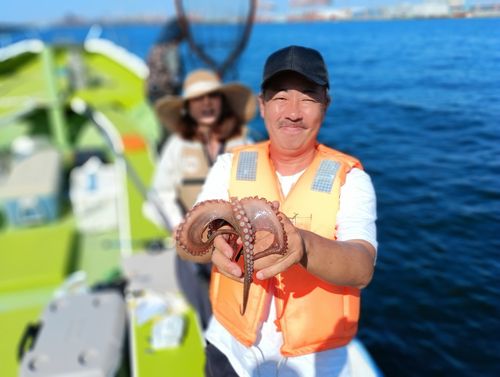 タコの釣果