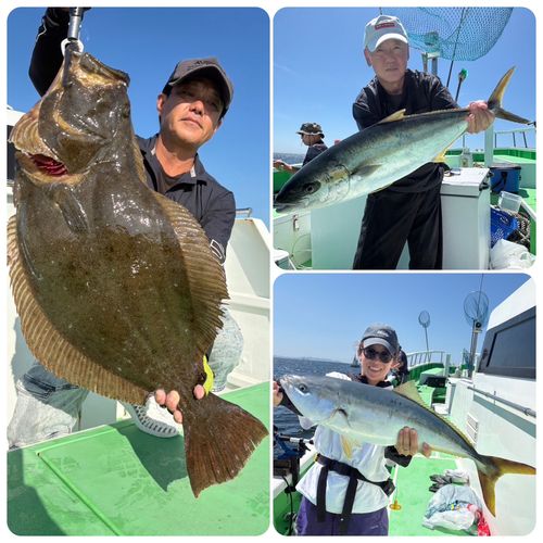 ヒラメの釣果