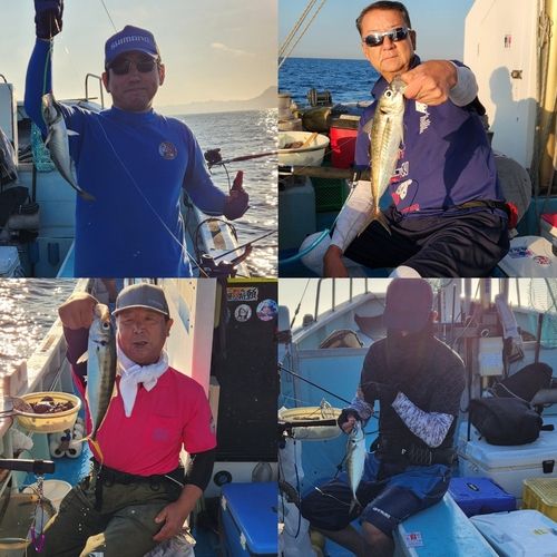 マアジの釣果