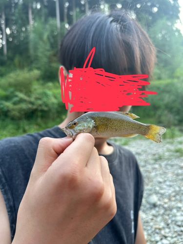 釣果