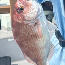 タイ