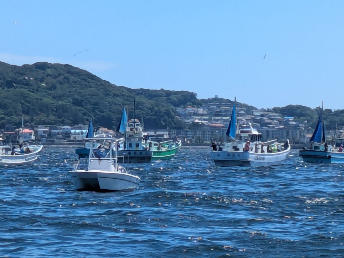しおタンさんの釣果 2枚目の画像