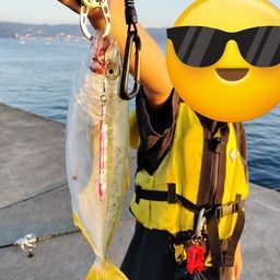 ワカシ