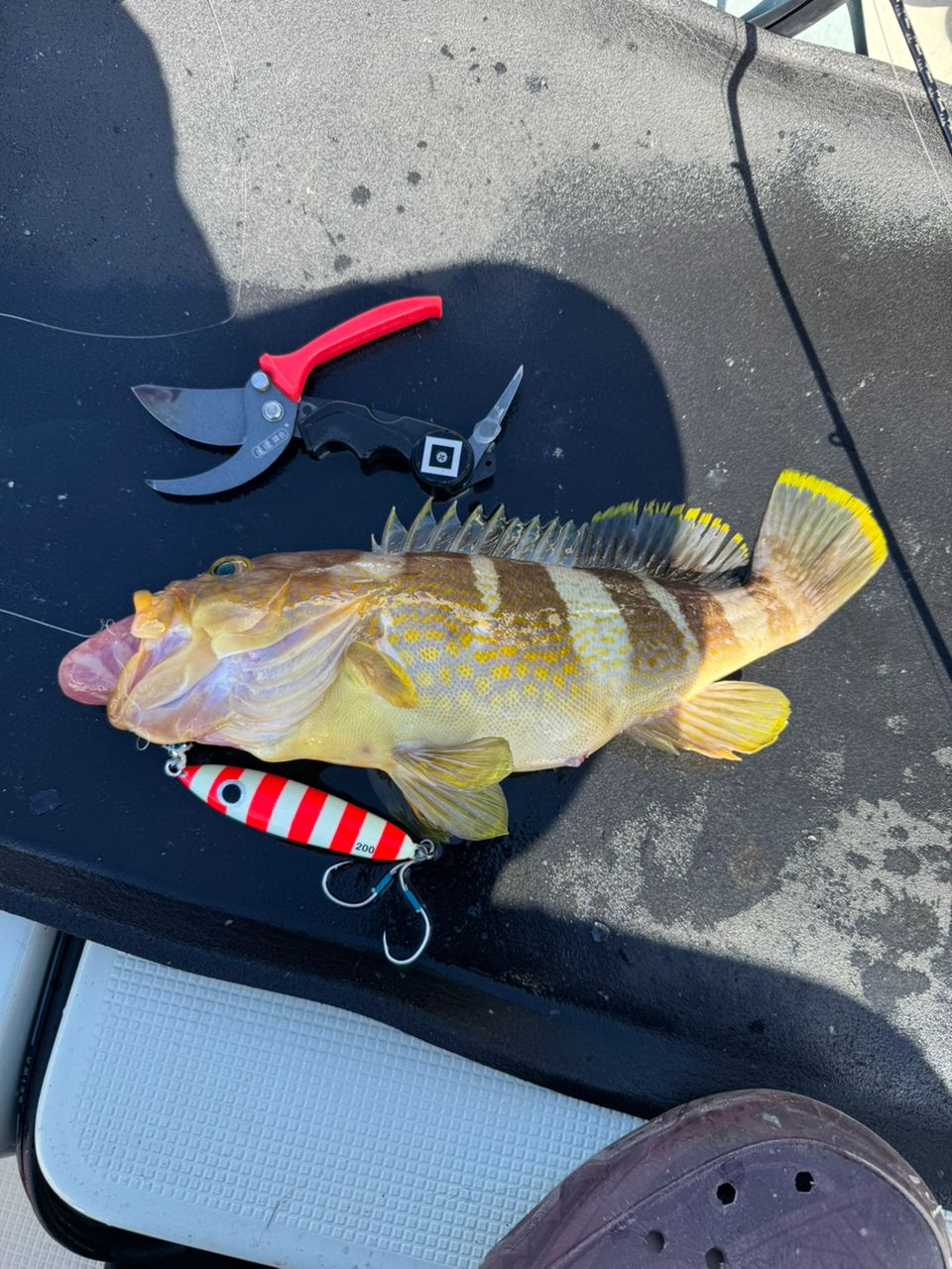 SHIMANO 21グラップラー BB タイプスローJ B66-2の最安値・インプレ