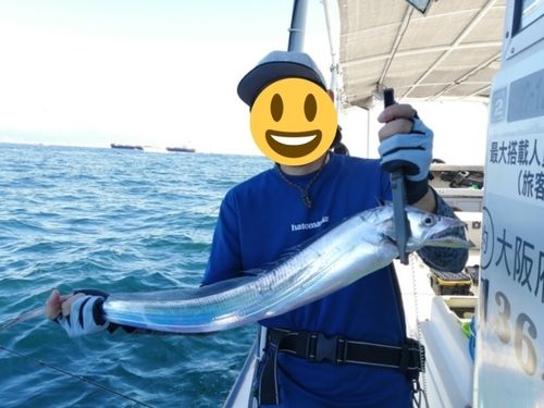 タチウオの釣果