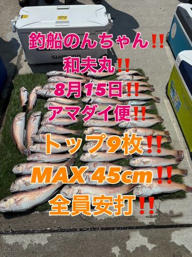 シロアマダイの釣果