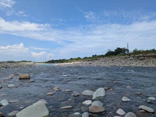 アユの釣果