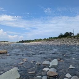 アユ
