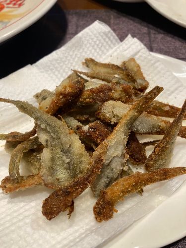 ハゼの釣果