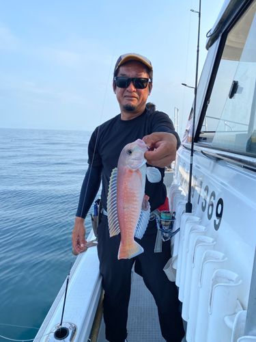 アマダイの釣果