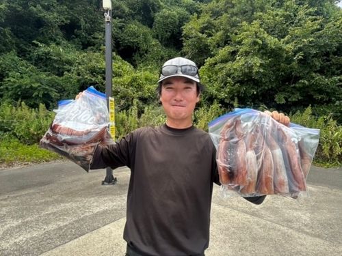 スルメイカの釣果