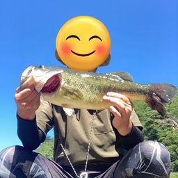 ブラックバス