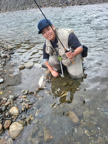 ニジマスの釣果