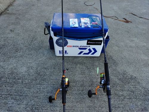 ショゴの釣果