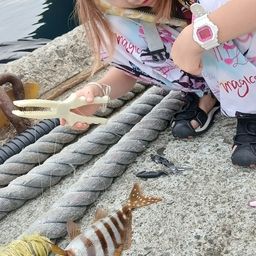 タカノハダイ