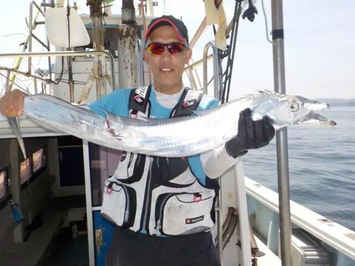 タチウオの釣果
