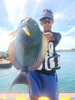 クロハギの釣果