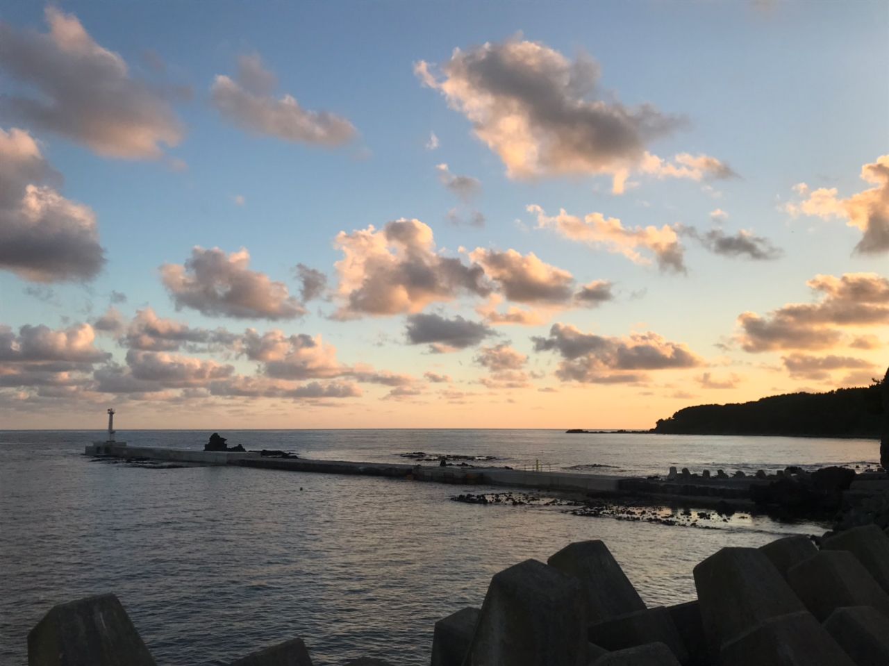 ワカシ