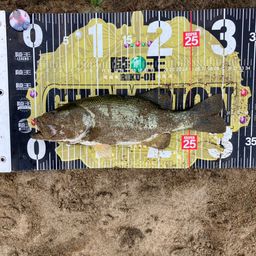 ブラックバス