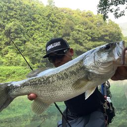 ブラックバス