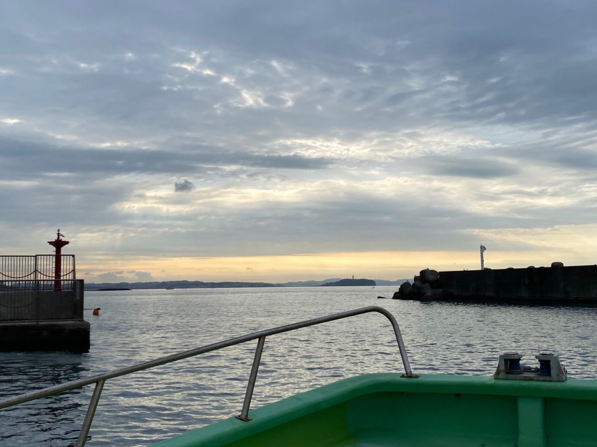 湘南のかつさんの釣果 3枚目の画像