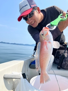 シロアマダイの釣果