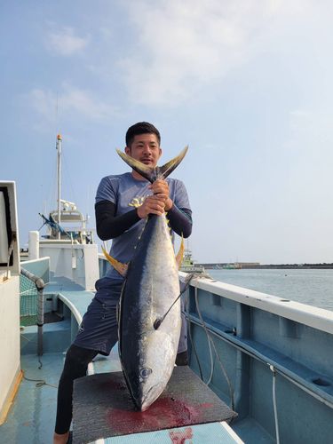 キハダマグロの釣果